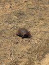 IMG_8476.jpeg