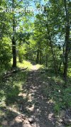 IMG_6626.jpeg