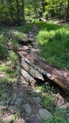 IMG_6620.jpeg IMG_6620.jpeg