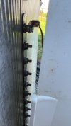 IMG_8323.jpeg