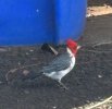 IMG_9478.jpeg