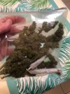 IMG_3156.jpeg