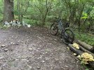 IMG_8967.jpg