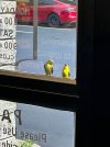 IMG_7101.jpeg