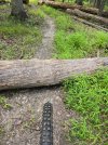20250722_170928.jpg