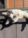 IMG_4648.jpeg