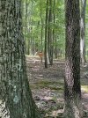 IMG_9316.jpg