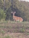 IMG_0798.jpeg