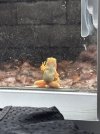 IMG_4740.jpeg