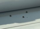 IMG_5822.jpeg