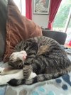 IMG_4810.jpeg