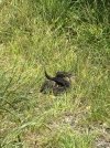 IMG_4829.jpeg
