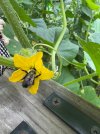 IMG_3013.jpeg