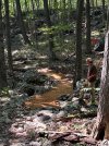 IMG_5471.jpeg