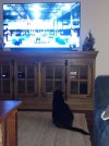 IMG_20190111_203424619.jpg