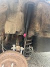 IMG_4844.jpeg