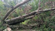 PXL_20250806_182337602.jpg