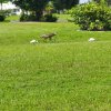 20250808_105822.jpg