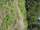 IMG_4832.jpeg
