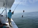 IMG_2506.JPEG