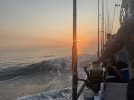 IMG_2536.JPEG