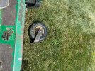 IMG_9347.jpeg