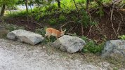 IMG_9158.jpeg