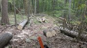 PXL_20250818_172746850.jpg