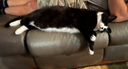 1755651562916.png