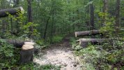 PXL_20250821_155923121.jpg