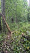 PXL_20250821_184550991.jpg