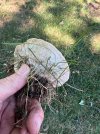 IMG_9451.jpeg