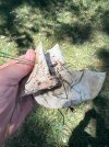 IMG_9452.jpeg