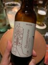 IMG_3979.jpeg