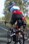 m12.gif