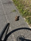 IMG_0023.jpeg