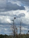 IMG_0035.jpeg