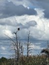 IMG_0033.jpeg
