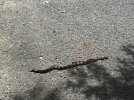 IMG_8414.jpeg