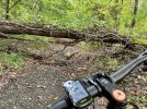 IMG_3389.jpeg