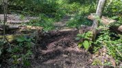 PXL_20250908_164649038.jpg