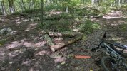 PXL_20250908_174114964.jpg