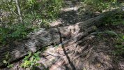 PXL_20250908_183731680.jpg