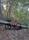 IMG_4562.jpeg