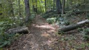 PXL_20250911_161836138.jpg