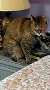 IMG_9953.jpeg