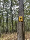 IMG_8017.jpeg