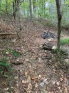 IMG_2848.jpeg