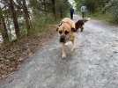 IMG_6566.jpeg
