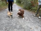 IMG_6589.jpeg